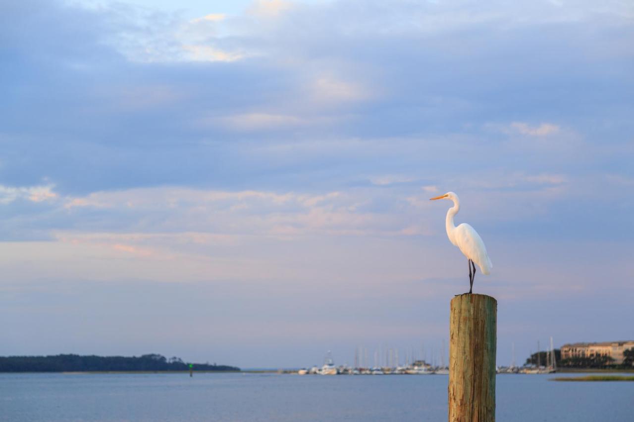 Appartamento Breakers 215 Hilton Head Island Esterno foto