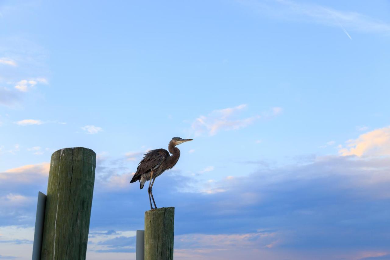 Appartamento Breakers 215 Hilton Head Island Esterno foto